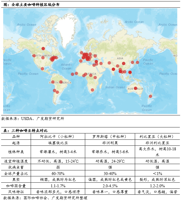 啡品种简介及国际主流期货概览开元棋牌咖啡系列专题上篇:咖(图4) 啡品种简介及国际主流期货概览开元棋牌咖啡系列专题上篇:咖(图4)