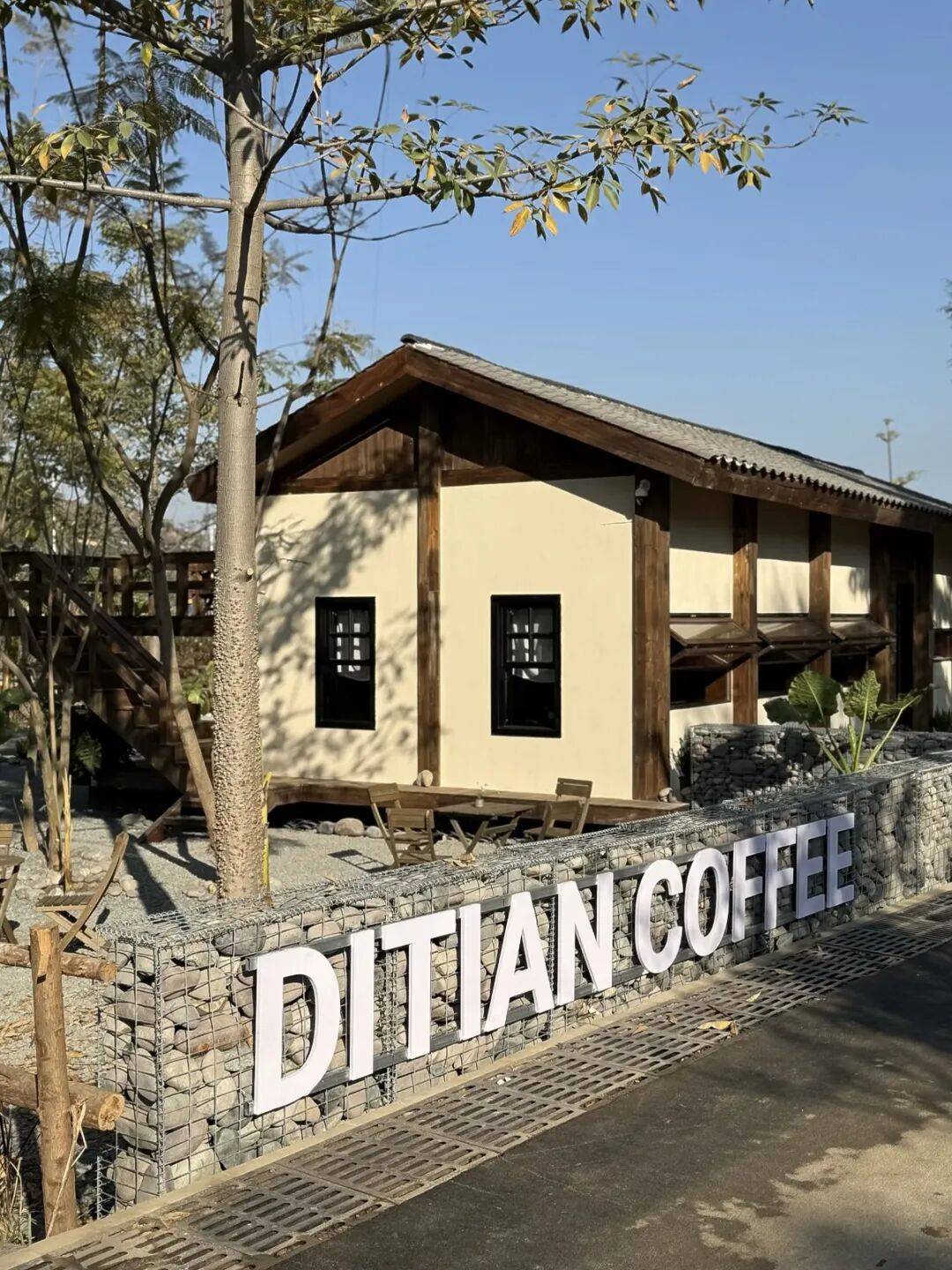 野90后返乡青年的咖啡创业记开元棋牌网站让咖啡香漫进田(图1)